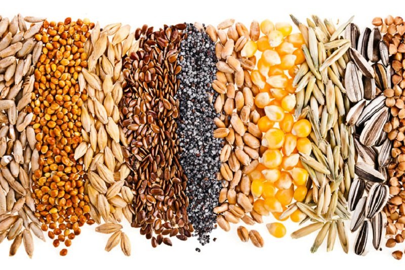Safra baiana cresce e produção de grãos bate recorde em 2018